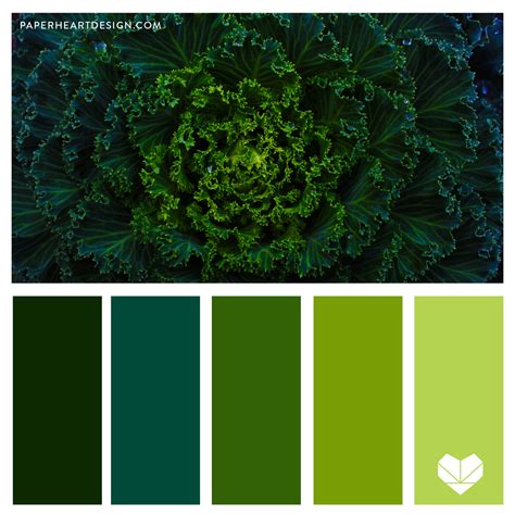 Image result for Spring Green Color Swatch