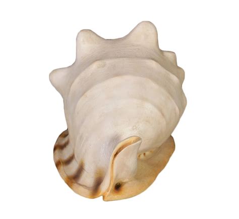 Shell Logo JPEG に対する画像結果