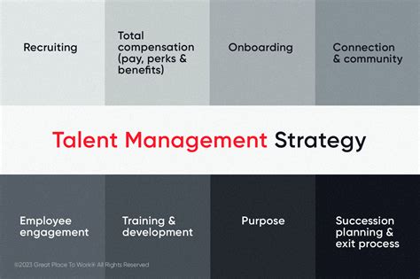Talent Management Models に対する画像結果
