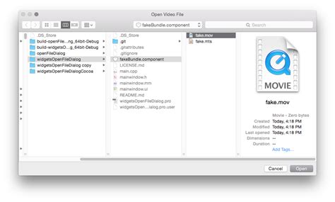 Image result for Open Dir File