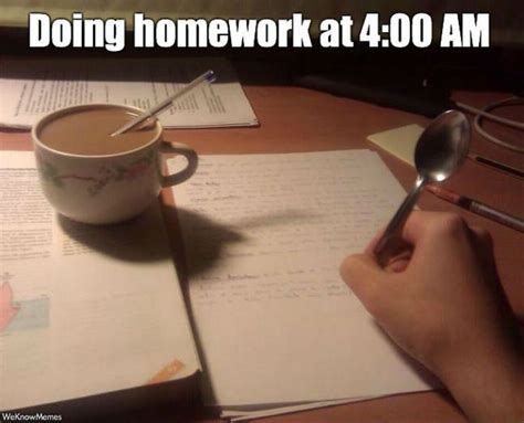 Image result for Homework Flder Meme