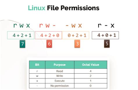 Image result for Linux Permissions Explained