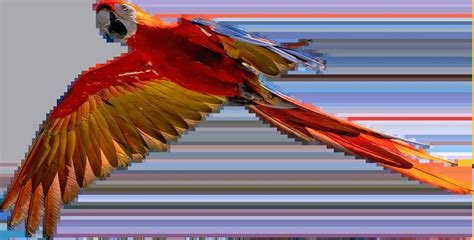 Toradh íomhá ar FSM On Engine Block Testing