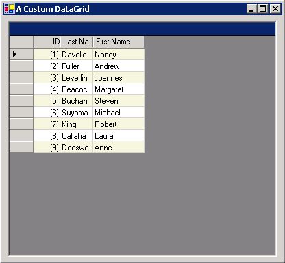 Toradh íomhá ar Background Design DataGridView