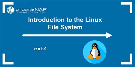 Image result for Linux File