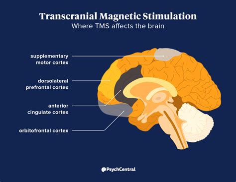 TMS Talent Management System に対する画像結果