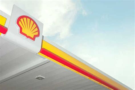 Image result for Shell Pecten Logo