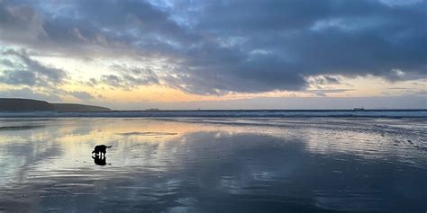 Afbeeldingsresultaten voor What Is a Conditional Code in Pyuthon