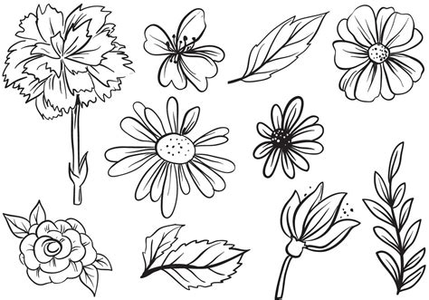 Image result for Flower Vector Free