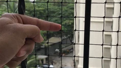 Image result for House.NET Window