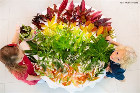 Sorting Activities に対する画像結果