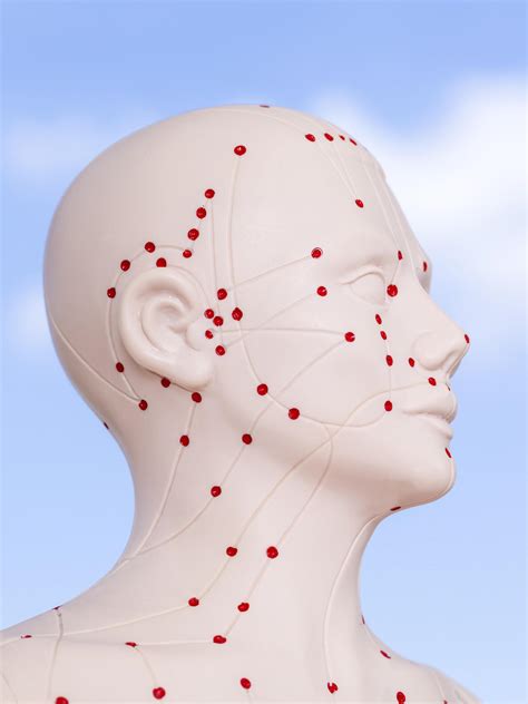 Afbeeldingsresultaten voor Function Families Project