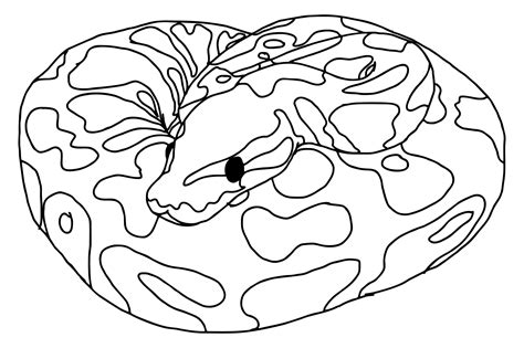 Image result for Python Vector Art