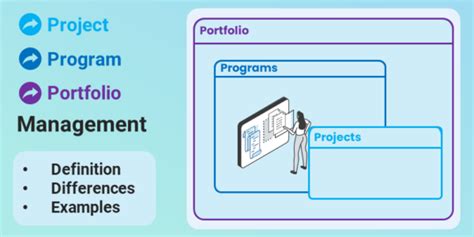 Image result for Differences Between Project Program Portfolio Management Office