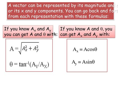 Image result for Head of a Vector Math