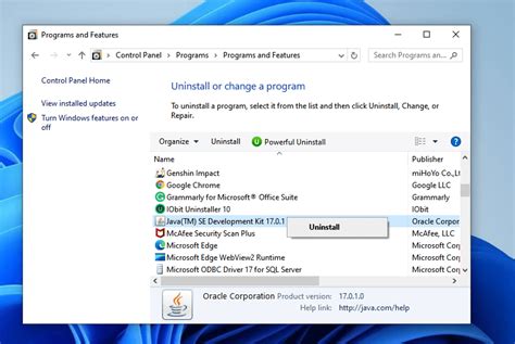Image result for Java Update Windows 11