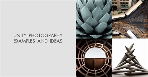 Unity in Photography に対する画像結果