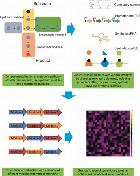 Image result for Modular Learning Pathway