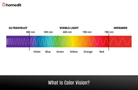 Normal Vision Colour Chart に対する画像結果