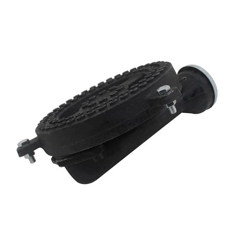 Image result for Pschrimp Brander