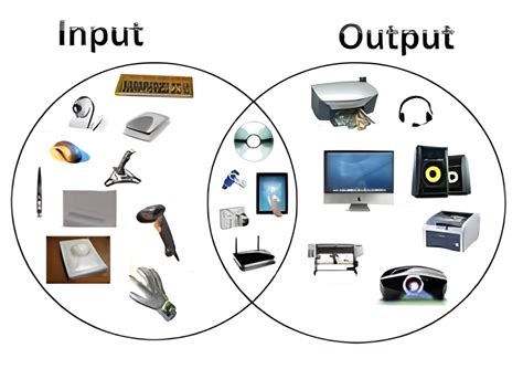 Image result for Input and Output Devices of Modern Computer