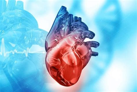 Image result for Non-Invasive Cardiology Unit