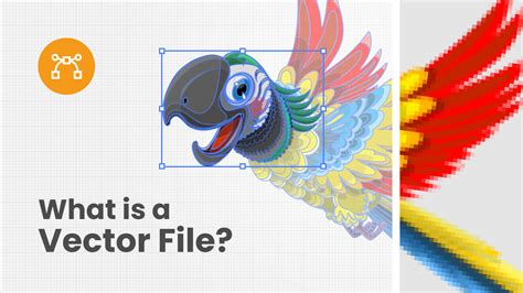 What Is a Vector File に対する画像結果