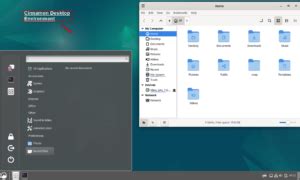 Image result for How to Get GUI for Linux Server in Windows