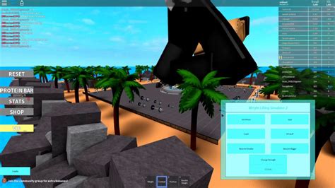 Weight Lifting Simulator Script GUI に対する画像結果