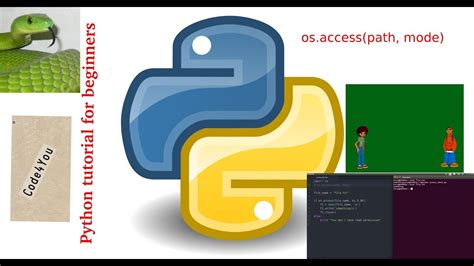 Afbeeldingsresultaten voor Where Do I Acces Python Library
