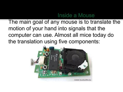 Image result for Mouse Input Device Explained CBSE