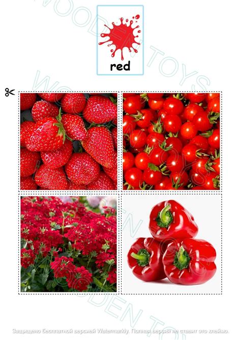 Color-Matching Cards に対する画像結果