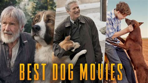 Image result for Animal Dog Movies