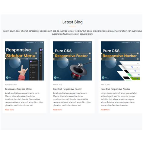 Afbeeldingsresultaten voor Simple CSS for Article Blog