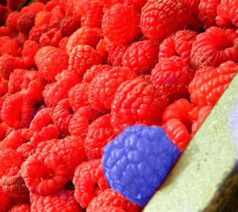 Image result for Raspberry Pi World Clock