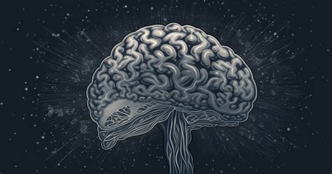 Implicit Memory System に対する画像結果