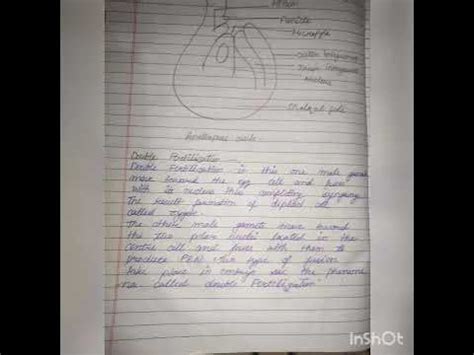 Afbeeldingsresultaten voor BST Notes Chapter 2 Class 12