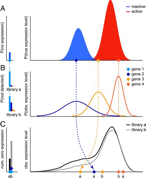 Image result for Bayesian Clam Model