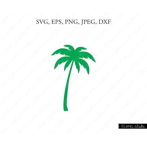 Image result for Palm Tree SVG