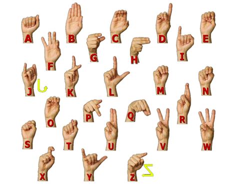 ASL Shape Chart に対する画像結果