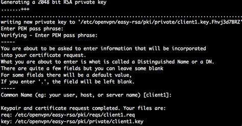 Image result for OpenVPN Raspberry Pi