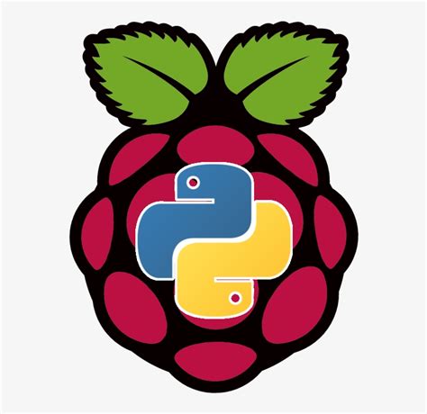 Image result for Raspberry Pi Python Icon