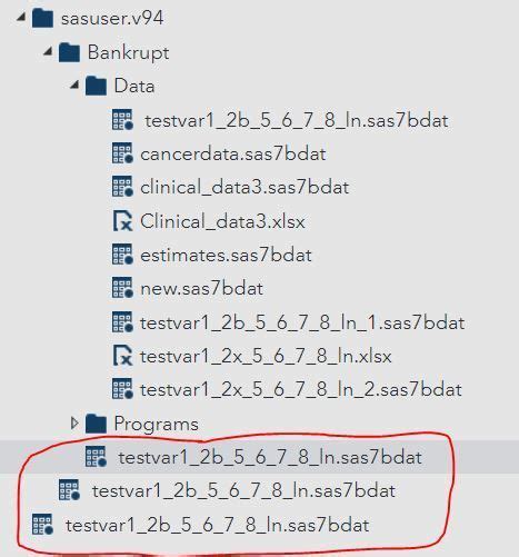 Afbeeldingsresultaten voor SAS File Format