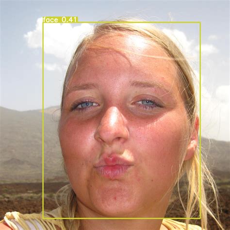 Face Detection Module に対する画像結果