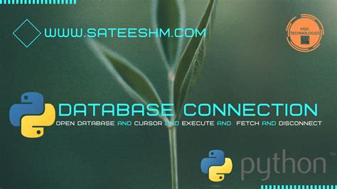 Image result for Does Python Have a Database
