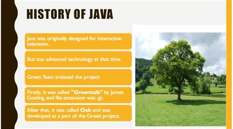 Image result for Who Made Java