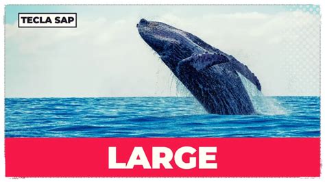 Image result for Large Sampling Critical Values