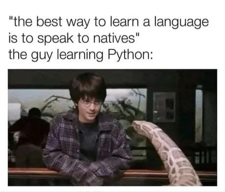 Important Python Language Memes-साठीचा प्रतिमा निकाल
