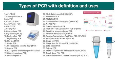 How Do PCR Tests Work に対する画像結果