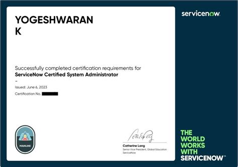 Image result for Chayankan ServiceNow Developer